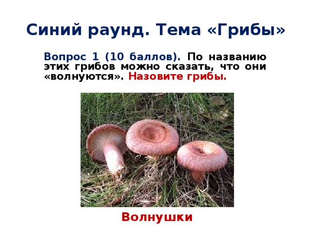 Синий раунд. Тема «Грибы» Вопрос 1 (10 баллов). По названию этих грибов можно сказать, что они «волнуются». Назовите грибы. Волнушки