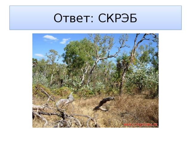 Ответ: СКРЭБ