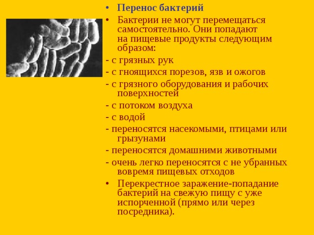 Перенос бактерий Бактерии не могут перемещаться самостоятельно. Они попадают на пищевые продукты следующим образом: - с грязных рук - с гноящихся порезов, язв и ожогов - c грязного оборудования и рабочих поверхностей - с потоком воздуха - с водой - переносятся насекомыми, птицами или грызунами - переносятся домашними животными - очень легко переносятся с не убранных вовремя пищевых отходов Перекрестное заражение-попадание бактерий на свежую пищу с уже испорченной (прямо или через посредника).