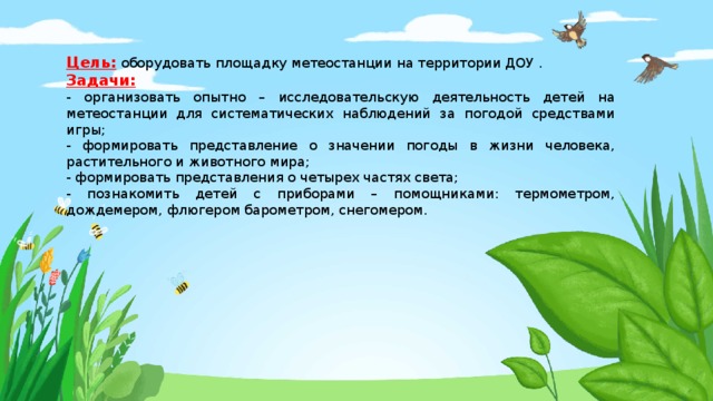 Цель: оборудовать площадку метеостанции на территории ДОУ . Задачи: - организовать опытно – исследовательскую деятельность детей на метеостанции для систематических наблюдений за погодой средствами игры; - формировать представление о значении погоды в жизни человека, растительного и животного мира; - формировать представления о четырех частях света; - познакомить детей с приборами – помощниками: термометром, дождемером, флюгером барометром, снегомером.