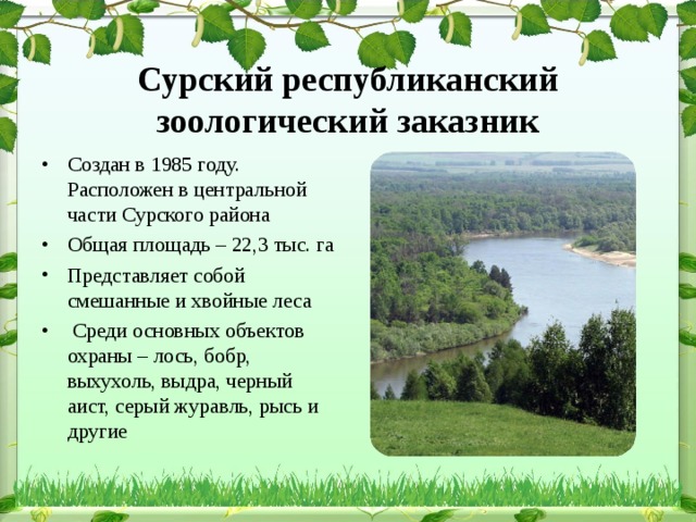 Сурский республиканский зоологический заказник