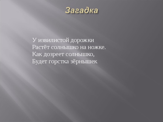 У извилистой дорожки  Растёт солнышко на ножке.  Как дозреет солнышко,  Будет горстка зёрнышек