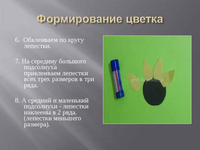 6. Обклеиваем по кругу лепестки. 7. На середину большого подсолнуха приклеиваем лепестки всех трех размеров в три ряда.  8. А средний и маленький подсолнухи - лепестки наклеены в 2 ряда. (лепестки меньшего размера).