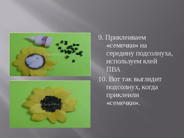 9. Приклеиваем «семечки» на середину подсолнуха, используем клей ПВА 10. Вот так выглядит подсолнух, когда приклеили «семечки».