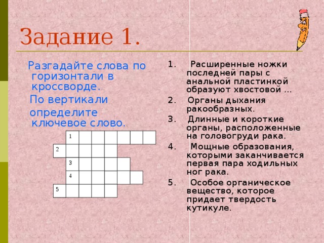 Задание 1. 1. Расширенные ножки последней пары с анальной пластинкой образуют хвостовой … 2. Органы дыхания ракообразных. 3. Длинные и короткие органы, расположенные на головогруди рака. 4. Мощные образования, которыми заканчивается первая пара ходильных ног рака. 5. Особое органическое вещество, которое придает твердость кутикуле.  Разгадайте слова по горизонтали в кроссворде.  По вертикали  определите ключевое слово. 1 2 3 4 5