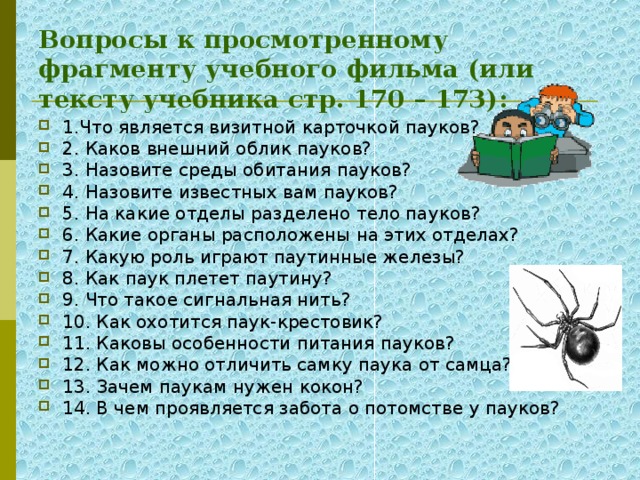 Вопросы к просмотренному фрагменту учебного фильма (или тексту учебника стр. 170 – 173):