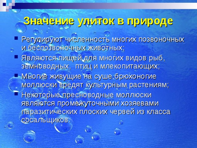 Значение улиток в природе