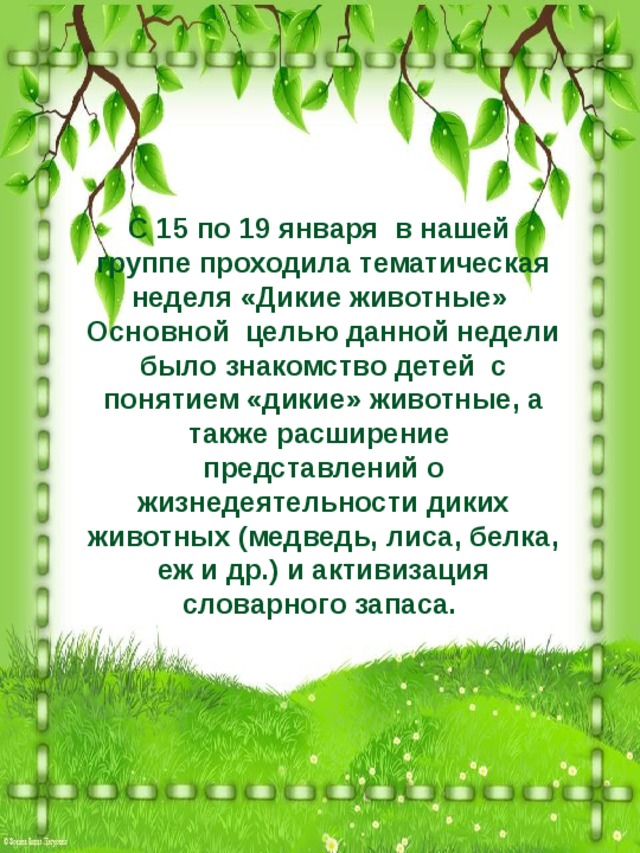 С 15 по 19 января в нашей группе проходила тематическая неделя «Дикие животные» Основной целью данной недели было знакомство детей с понятием «дикие» животные, а также расширение представлений о жизнедеятельности диких животных (медведь, лиса, белка, еж и др.) и активизация словарного запаса.