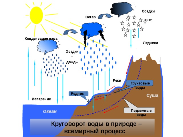 Осадки – снег Ветер     Конденсация пара  Ледники            Осадки – дождь                                                                          Реки  Грунтовые воды Родник Суша   Испарение  Подземные воды Океан    Круговорот воды в природе – всемирный процесс