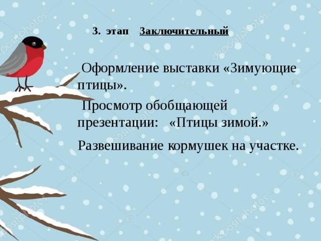 3. этап Заключительный  Оформление выставки «Зимующие птицы».  Просмотр обобщающей презентации: «Птицы зимой.» Развешивание кормушек на участке.  