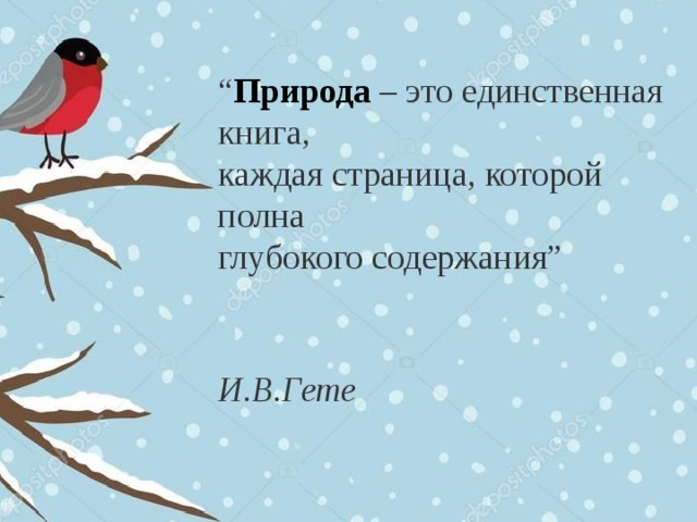 “ Природа – это единственная книга,  каждая страница, которой полна   глубокого содержания”    И.В.Гете