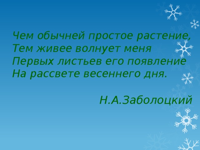 Чем обычней простое растение, Тем живее волнует меня Первых листьев его появление На рассвете весеннего дня.  Н.А.Заболоцкий