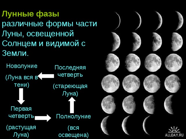 Лунные фазы – это различные формы части Луны, освещенной Солнцем и видимой с Земли. Новолуние (Луна вся в тени) Последняя четверть (стареющая Луна) Первая четверть (растущая Луна) Полнолуние (вся освещена)