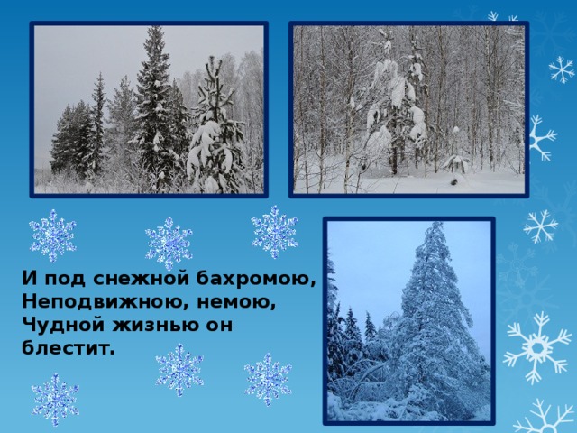 Анализ стихотворения снега потемнеют синие по плану