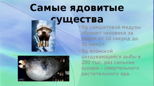 Самые ядовитые существа