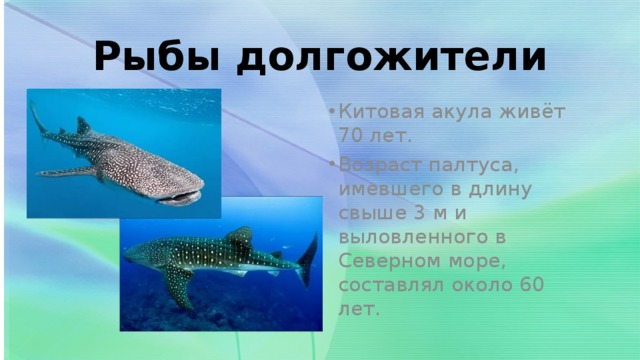 Рыбы долгожители