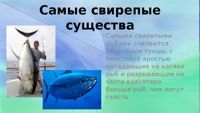 Самые свирепые существа