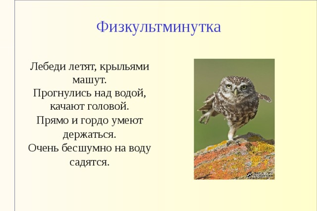 Физкультминутка   Лебеди летят, крыльями машут. Прогнулись над водой, качают головой. Прямо и гордо умеют держаться. Очень бесшумно на воду садятся.