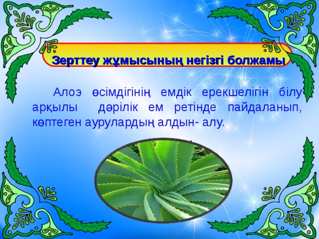 Зерттеу жұмысының негізгі болжамы  .  Алоэ өсімдігінің емдік ерекшелігін білу арқылы д әрілік ем ретінде пайдаланып, көптеген аурулардың алдын- алу.