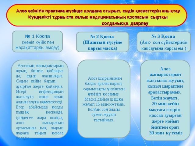 Алоэ өсімігін практика жүзінде қолдана отырып, емдік қасиеттерін анықтау.  Күнделікті тұрмыста халық медицинасының қоспасын сыртқы  қолданысқа даярлау    № 1 Қоспа  (жеңіл күйік пен жарақаттарды емдеу)  № 3 Қоспа ( Аяқ- қол сүйектерінің қақсауына қарсы ем ) № 2 Қоспа (Шаштың түсуіне қарсы маска) .  Алоэ шырынымен балды араластырып, сарымсақты үккіштен өткізіп қосамыз. Маска дайын шашқа жағып 15 мин күтеміз. Болған соң жылы сумен жууып тастаймыз.  Алоэның жапырақтарын жуып, бинтке қойыңыз да, аздап жаншыңыз. Содан кейін барып, ауырған жерге қойыңыз. Әсері инфекциядан жазылуға және оның алдын алуға көмектеседі. Егер абайсызда қолды пышақ кескенде, іріңдеген жара шықса, алоэ жапырағын ортасынан қақ жарып жараға таңып қоюға болады. Алоэ жапырақтарын жақсылап жууып, қызыл шараппен араластырамыз. Бетін жауып , 20 мин кейін мақтаға сіңіріп қақсап ауырған жерге қойып бинтпен орап  30 мин күтеміз