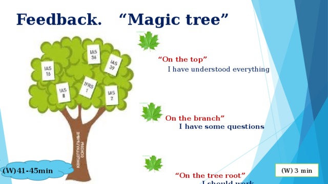 Feedback. “Magic tree”   “On the top”  I have understood everything        “On the branch”  I I I have some questions        “On the tree root”   I should work    (W)41-45min ( W) 3 min