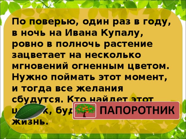 По поверью, один раз в году, в ночь на Ивана Купалу, ровно в полночь растение зацветает на несколько мгновений огненным цветом. Нужно поймать этот момент, и тогда все желания сбудутся. Кто найдет этот цветок, будет счастлив всю жизнь.