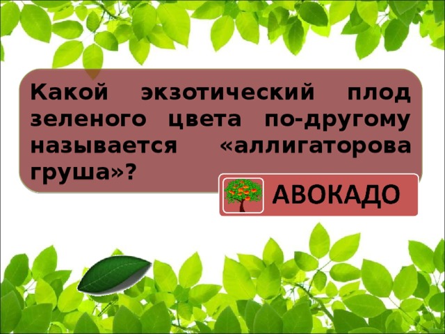 Какой экзотический плод зеленого цвета по-другому называется «аллигаторова груша»?