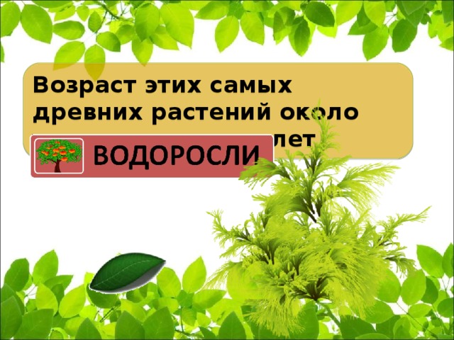 Возраст этих самых древних растений около трех миллиардов лет