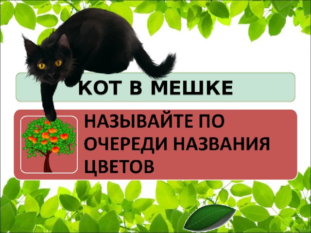 КОТ В МЕШКЕ