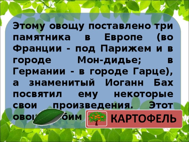 Этому овощу поставлено три памятника в Европе (во Франции - под Парижем и в городе Мон-дидье; в Германии - в городе Гарце), а знаменитый Иоганн Бах посвятил ему некоторые свои произведения. Этот овощ любим белорусами. 