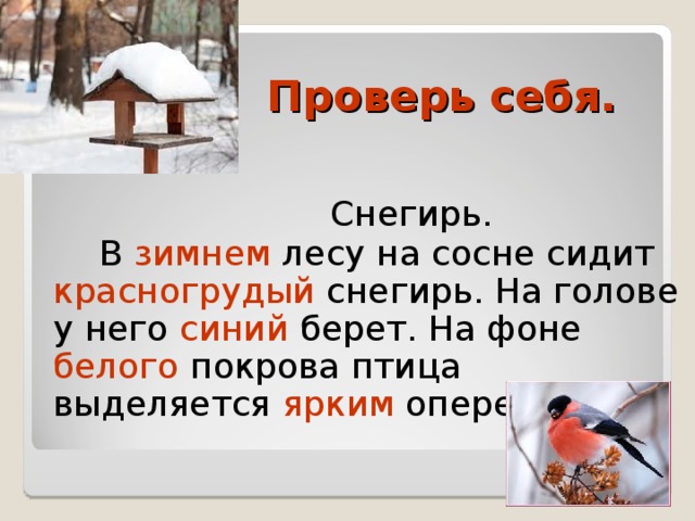 Проверь себя.  Снегирь.  В зимнем лесу на сосне сидит красногрудый снегирь. На голове у него синий берет. На фоне белого покрова птица выделяется ярким оперением.