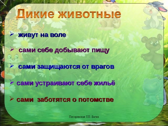 живут на воле  сами себе добывают пищу  сами защищаются от врагов   сами устраивают себе жильё  сами заботятся о потомстве