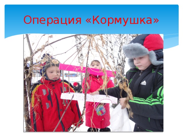 Операция «Кормушка»