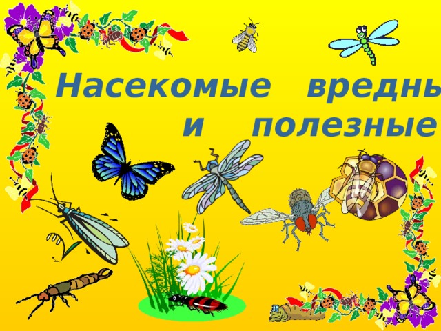 Полезные и вредные насекомые картинки для детей