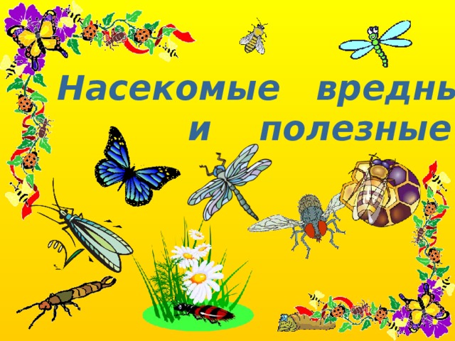 Насекомые вредные  и полезные