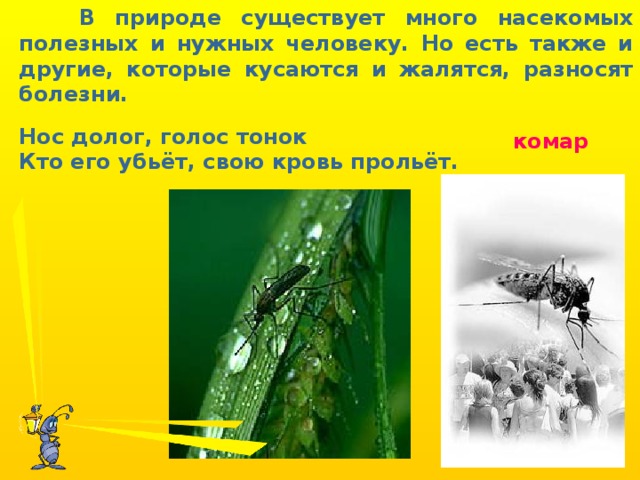 В природе существует много насекомых полезных и нужных человеку. Но есть также и другие, которые кусаются и жалятся, разносят болезни. Нос долог, голос тонок Кто его убьёт, свою кровь прольёт. комар