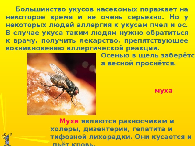 Большинство укусов насекомых поражает на некоторое время и не очень серьезно. Но у некоторых людей аллергия к укусам пчел и ос. В случае укуса таким людям нужно обратиться к врачу, получить лекарство, препятствующее возникновению аллергической реакции. Осенью в щель заберётся, а весной проснётся. муха  Мухи являются разносчикам и холеры, дизентерии, гепатита и тифозной лихорадки. Они кусается и пьёт кровь.