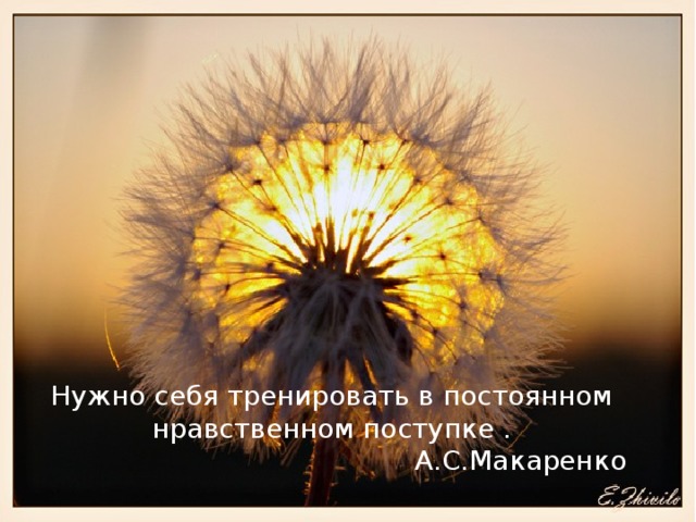 Нужно себя тренировать в постоянном нравственном поступке .  А.С.Макаренко