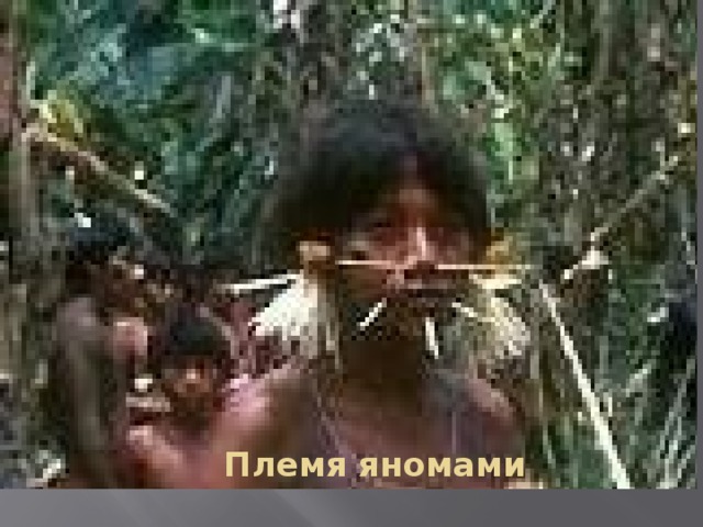 Племя яномами