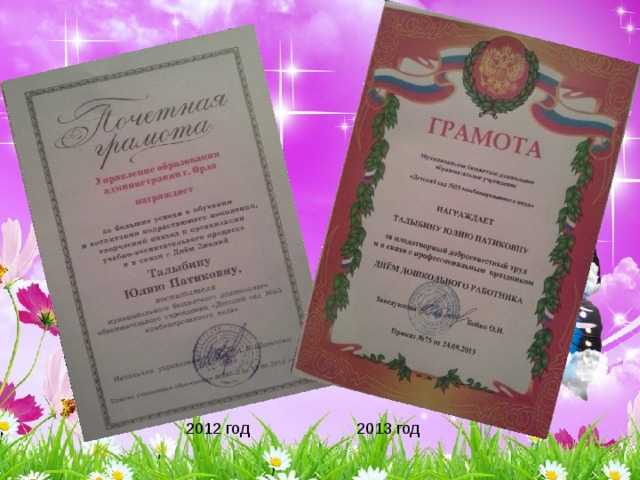 2012 год 2013 год