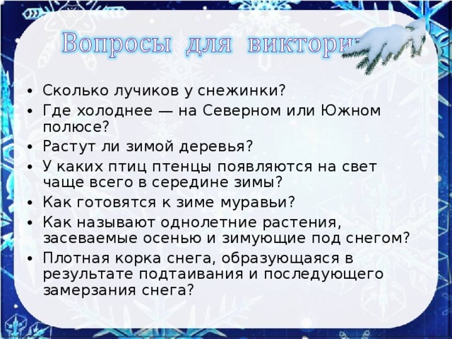 Куда холоднее. У каких птиц птенцы появляются на свет чаще всего в середине зимы. У каких птиц появляются свет чаще всего в середине зимы. Где холоднее на Северном или на Южном. У каких птиц птенцы появляются на свете еще всего в середине зимы.