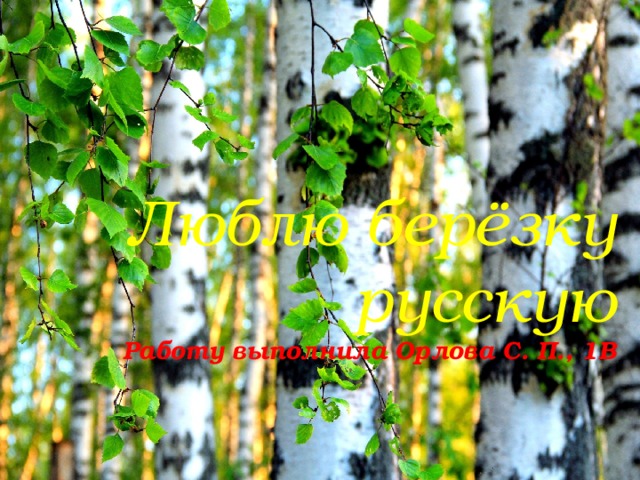 Люблю берёзку русскую  Работу выполнила Орлова С. П., 1В