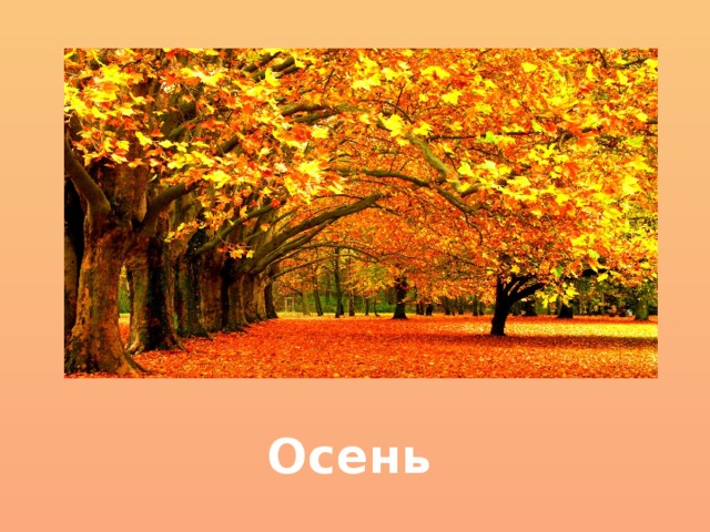 Осень