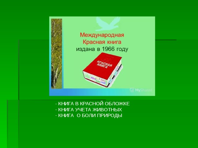 - КНИГА В КРАСНОЙ ОБЛОЖКЕ