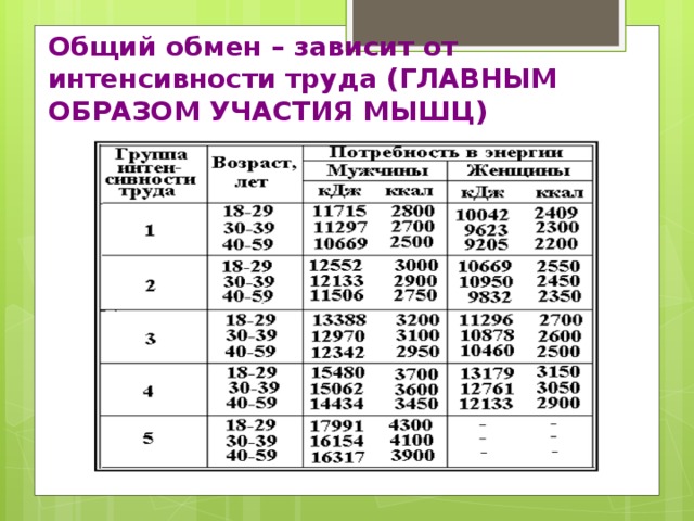 Общий обмен – зависит от интенсивности труда (ГЛАВНЫМ ОБРАЗОМ УЧАСТИЯ МЫШЦ)