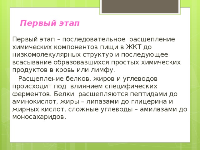 Первый этап Первый этап – последовательное расщепление химических компонентов пищи в ЖКТ до низкомолекулярных структур и последующее всасывание образовавшихся простых химических продуктов в кровь или лимфу.  Расщепление белков, жиров и углеводов происходит под влиянием специфических ферментов. Белки расщепляются пептидами до аминокислот, жиры – липазами до глицерина и жирных кислот, сложные углеводы – амилазами до моносахаридов.