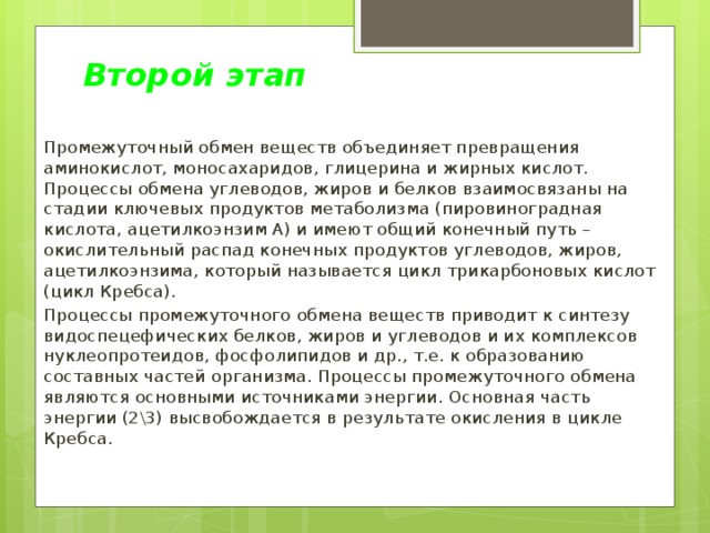 Второй этап Промежуточный обмен веществ объединяет превращения аминокислот, моносахаридов, глицерина и жирных кислот. Процессы обмена углеводов, жиров и белков взаимосвязаны на стадии ключевых продуктов метаболизма (пировиноградная кислота, ацетилкоэнзим А) и имеют общий конечный путь – окислительный распад конечных продуктов углеводов, жиров, ацетилкоэнзима, который называется цикл трикарбоновых кислот (цикл Кребса). Процессы промежуточного обмена веществ приводит к синтезу видоспецефических белков, жиров и углеводов и их комплексов нуклеопротеидов, фосфолипидов и др., т.е. к образованию составных частей организма. Процессы промежуточного обмена являются основными источниками энергии. Основная часть энергии (2\3) высвобождается в результате окисления в цикле Кребса.