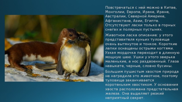 *Мир любви,ласки и нежности* | ВКонтакте
