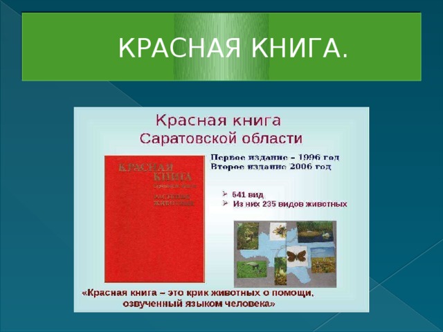 КРАСНАЯ КНИГА.