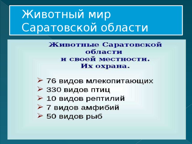 Животный мир Саратовской области